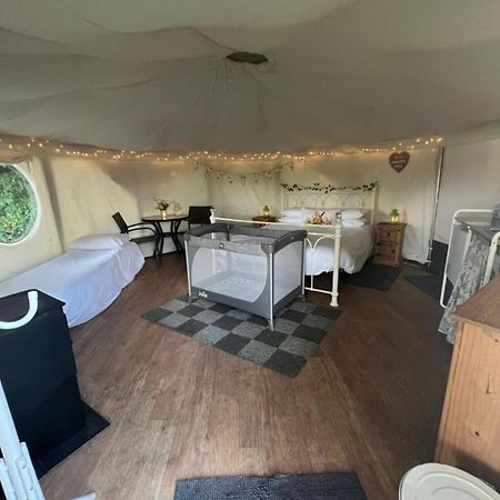 ホテル Old Dairy Farm Glamping エムズワース エクステリア 写真