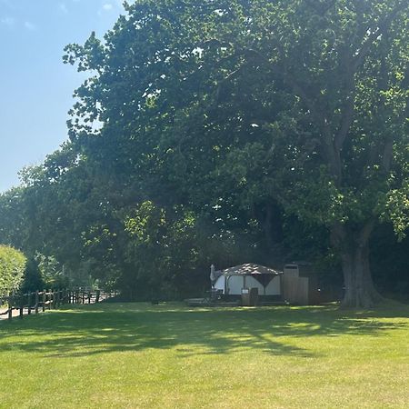 ホテル Old Dairy Farm Glamping エムズワース エクステリア 写真