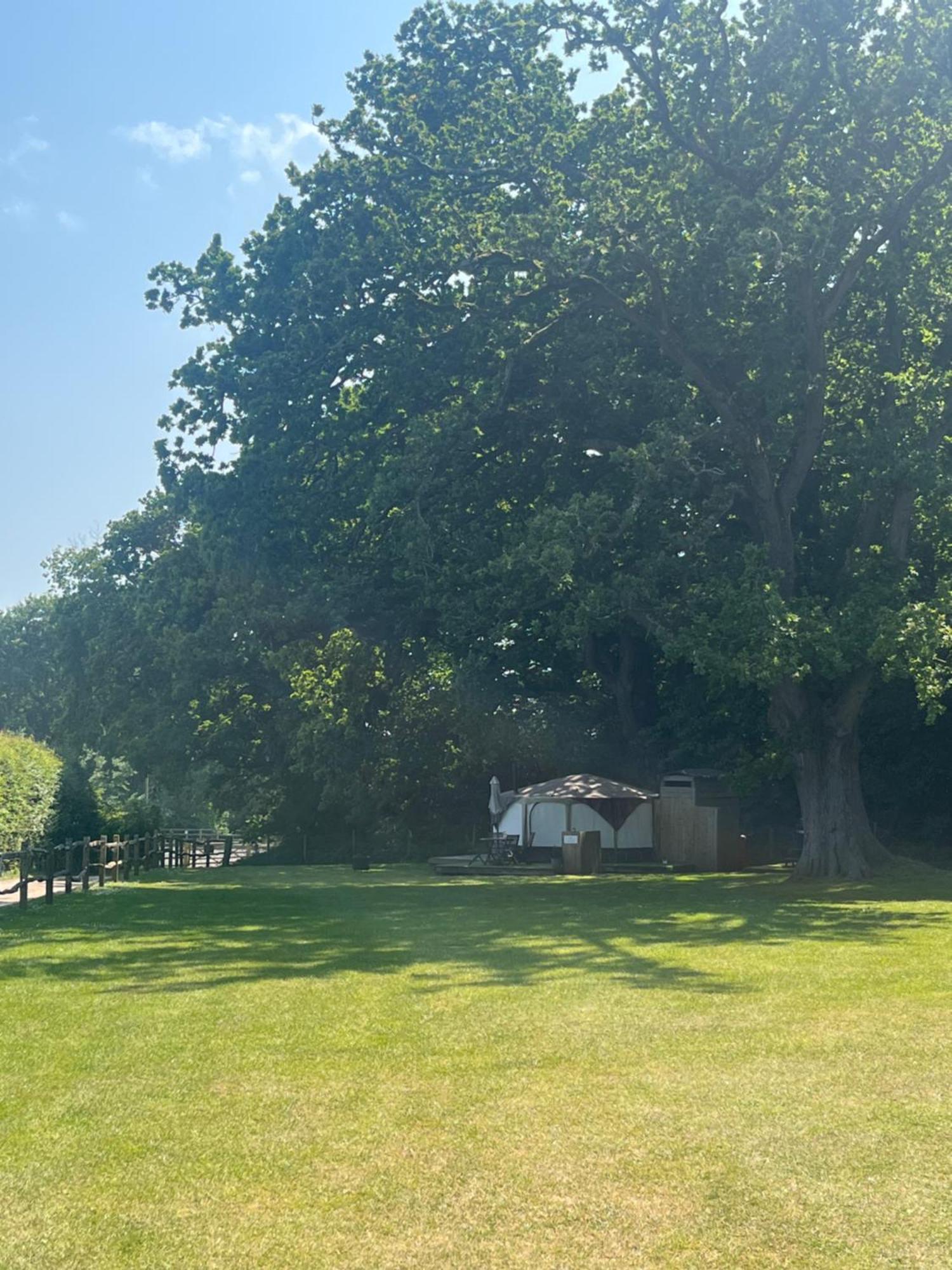 ホテル Old Dairy Farm Glamping エムズワース エクステリア 写真